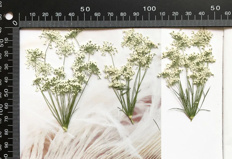 5-7Cm/12 Buah, Salju Bunga Kec - Craft Embellishments ulasan dan harga